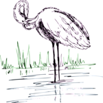 Flamingo 24 Clip Art