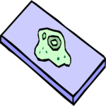 Biology - Bacteria 05 Clip Art