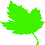 Leaf 077 Clip Art