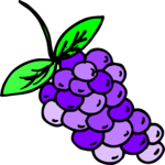 Grapes 31 Clip Art