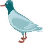 Gull 2 Clip Art