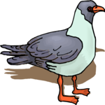 Pigeon 09 Clip Art