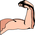 Bicep 3 Clip Art