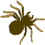 Tarantula 1 Clip Art