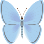 Butterfly 079 Clip Art