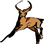 Antelope 02 Clip Art