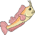 Blenny 3 Clip Art