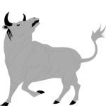 Bull 3 Clip Art