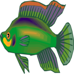 Cichlid - Dwarf 8 Clip Art