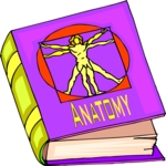 Book - Anatomy 2 Clip Art