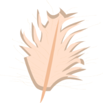 Feather 2 Clip Art