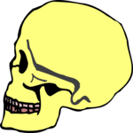 Skull 09 Clip Art