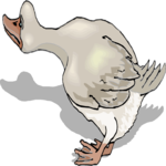 Duck 70 Clip Art