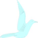 Seagull 03 Clip Art