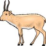 Antelope 26 Clip Art