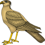 Falcon 06 Clip Art