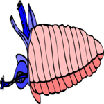 Sea Shell 35 Clip Art