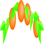 Oranges 05 Clip Art