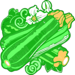Zucchini 3 Clip Art