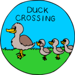 Duck Crossing Clip Art