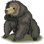 Bear 23 Clip Art