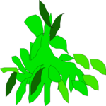 Plant 012 Clip Art