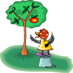 Magpie Picking Apple Clip Art