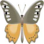 Butterfly 107 Clip Art