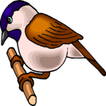 Bird Perched 57 Clip Art