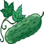 Cucumber 08 Clip Art