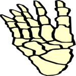 Foot 5 Clip Art