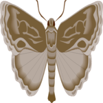 Moth 21 Clip Art