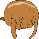 Manatee 3 Clip Art