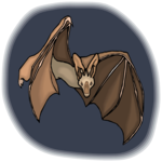 Bat 21 Clip Art