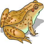 Frog 14 Clip Art