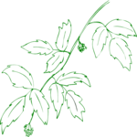 Plant 241 Clip Art