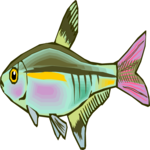 Tetra 18 Clip Art