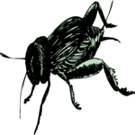 Cricket 3 Clip Art