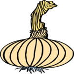 Onion 18 Clip Art