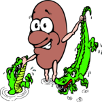 Holding Alligators Clip Art