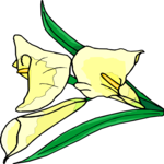 Calla Lily 2 Clip Art