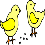 Chicks 5 Clip Art