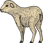 Sheep 13 Clip Art
