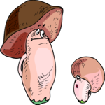 Mushrooms 2 Clip Art