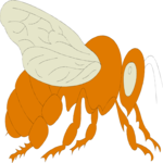 Bee 08 Clip Art