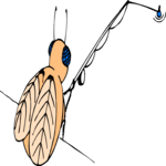 Fly Fishing 3 Clip Art