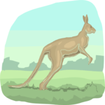 Kangaroo 14 Clip Art