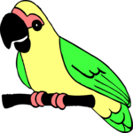 Parrot 14 Clip Art