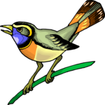 Bird Perched 45 Clip Art