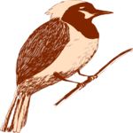 Bird 232 Clip Art